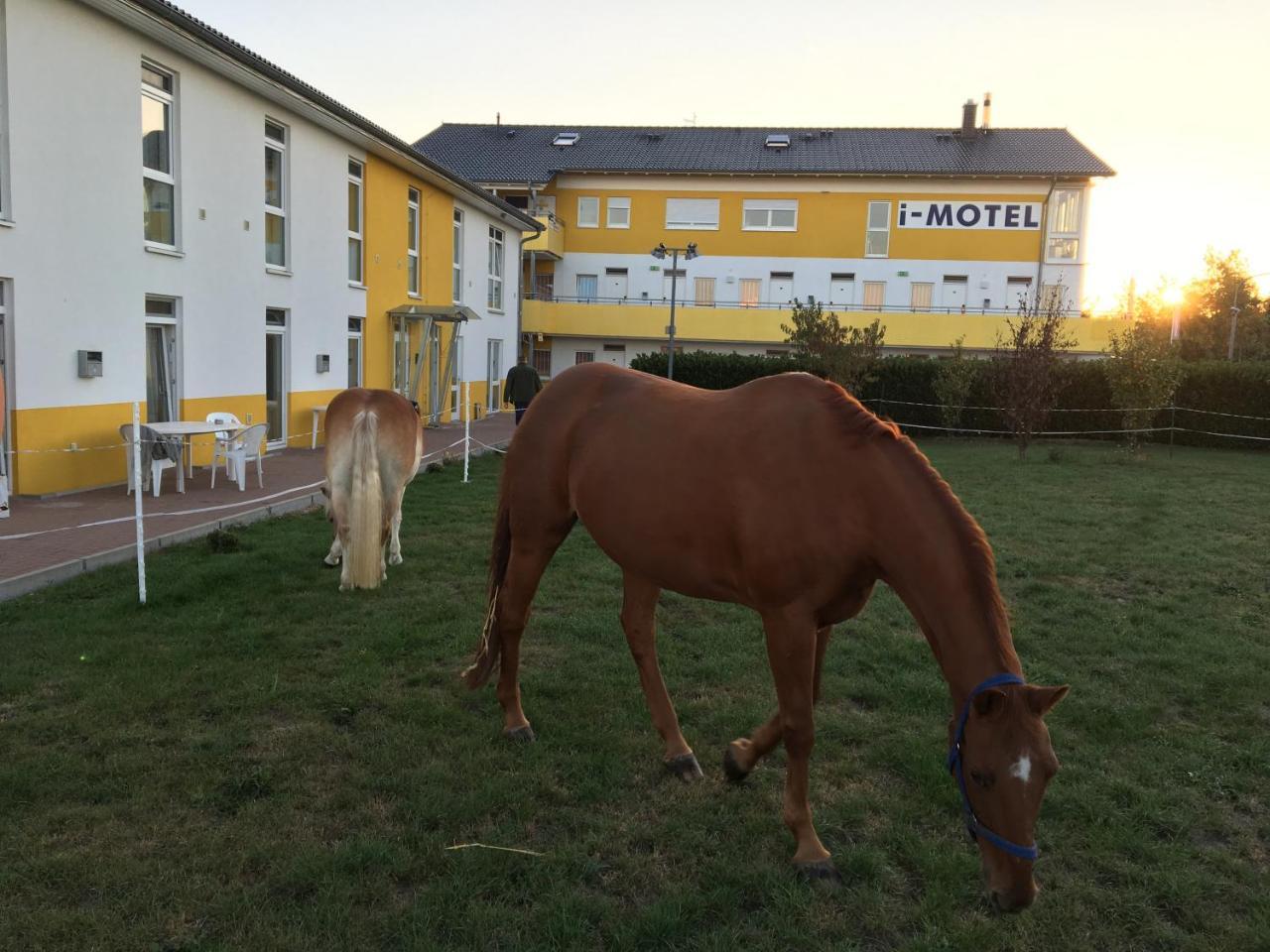 I-Motel Obertshausen Εξωτερικό φωτογραφία
